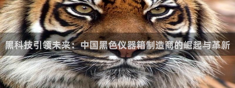 恒行主管总代6ll5l周至：黑科技引领未来：中国黑色仪器箱制