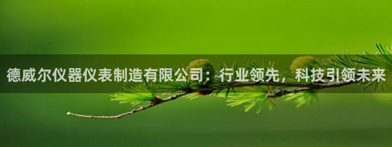 恒行娱乐冯74OOO5：德威尔仪器仪表制造有限公司：行业领先