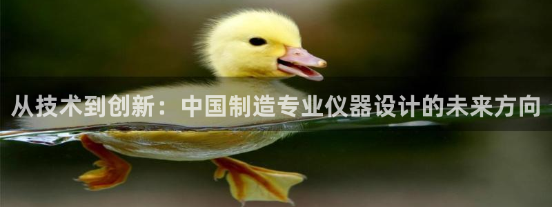 恒行2吴74OOO5：从技术到创新：中国制造专业仪器设计的未
