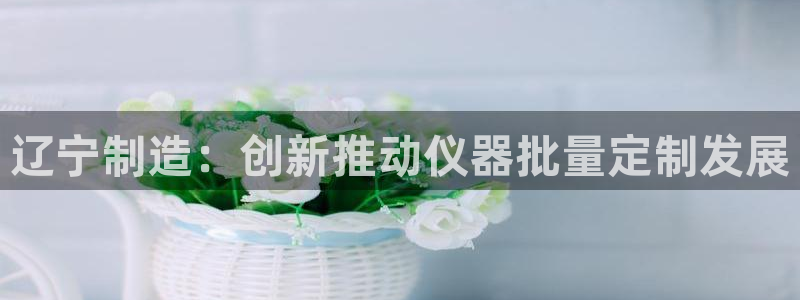 恒行5：辽宁制造：创新推动仪器批量定制发展