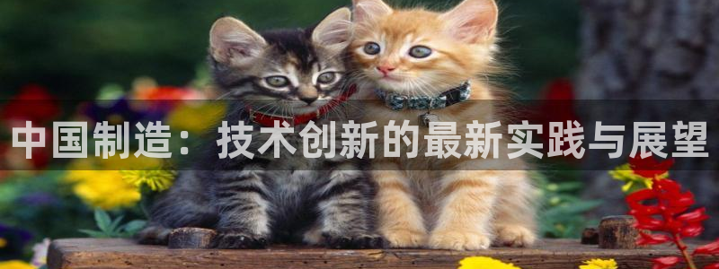 恒行2陈74OOO5：中国制造：技术创新的最新实践与展望