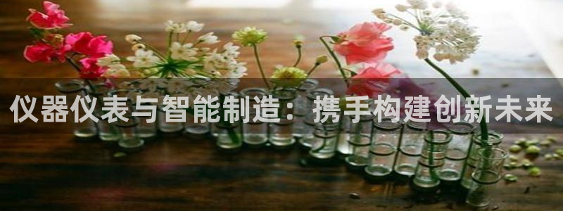 恒行娱乐蜗74ooo5指磁：仪器仪表与智能制造：携手构建创新