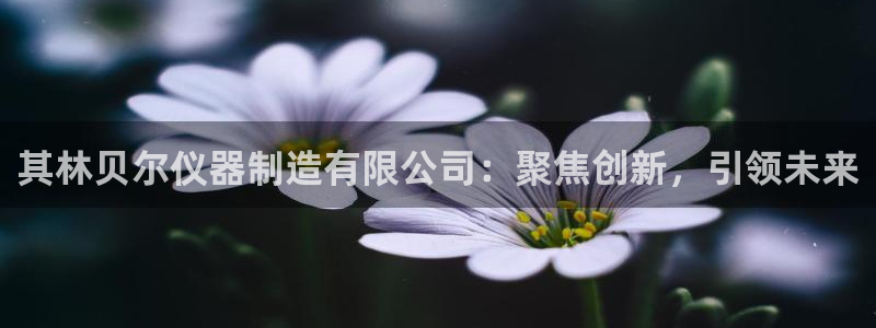 恒行5娱乐：其林贝尔仪器制造有限公司：聚焦创新，引领未来