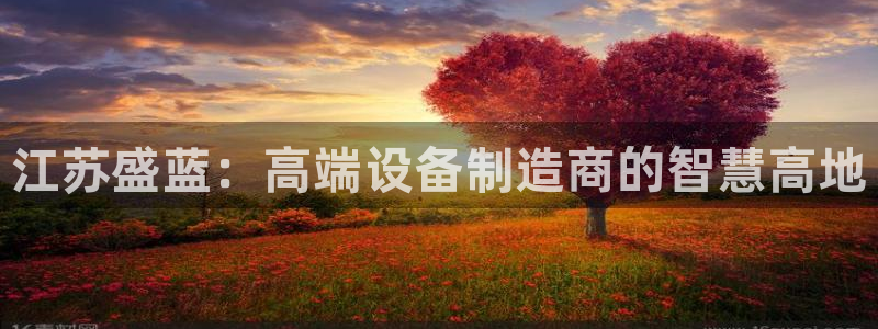 恒行娱乐吴74OOO5：江苏盛蓝：高端设备制造商的智慧高地