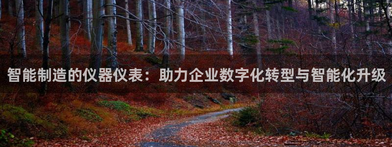 恒行娱乐吴74OOO5：智能制造的仪器仪表：助力企业数字化转