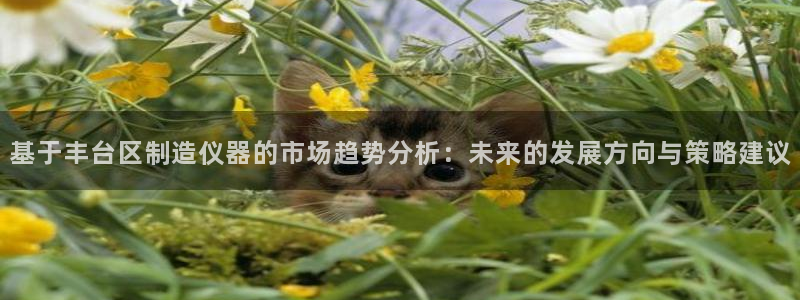 恒行娱乐寻问74 5：基于丰台区制造仪器的市场趋势分析：未来