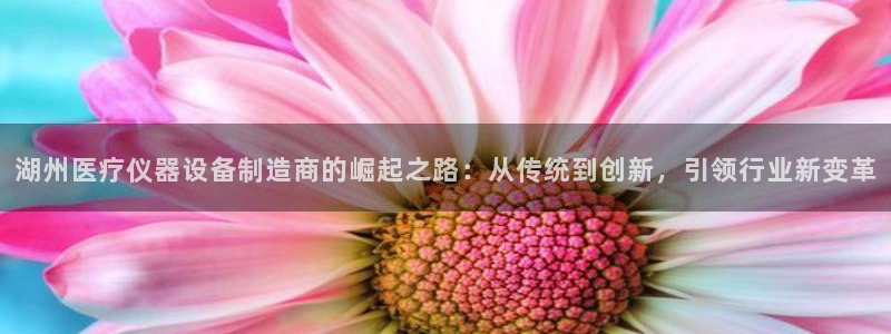 恒行注册招收6ll5l指定：湖州医疗仪器设备制造商的崛起之路