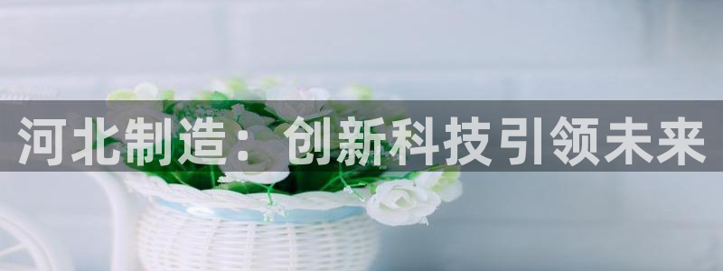 恒行娱乐芍皇74ooo5蛹：河北制造：创新科技引领未来