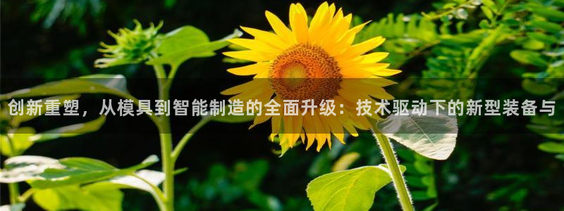 恒行注册招收6ll5l指定：创新重塑，从模具到智能制造的全面