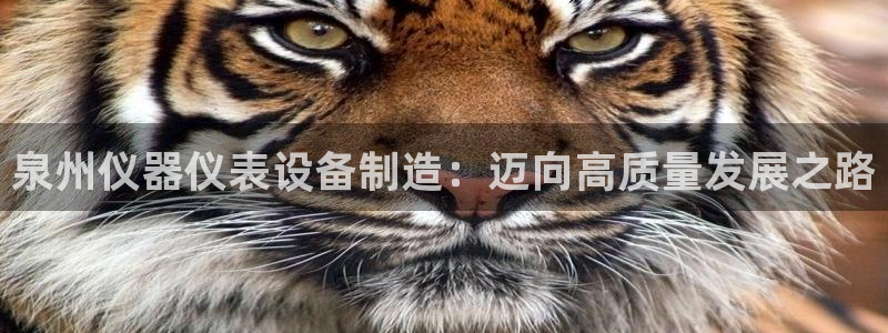 恒行娱乐见5ll533主管：泉州仪器仪表设备制造：迈向高质量