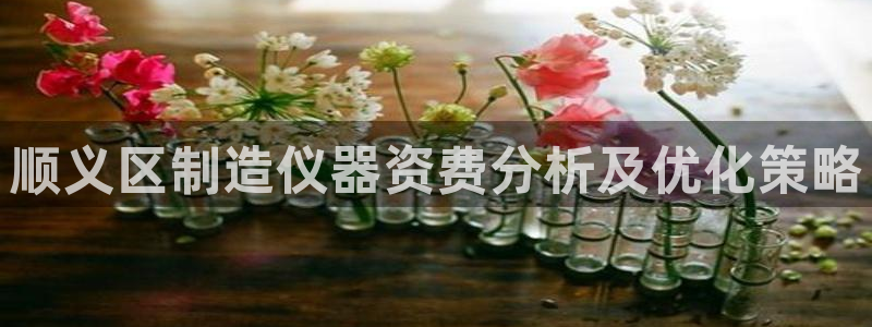 恒行娱乐热74ooo5主宰：顺义区制造仪器资费分析及优化策略