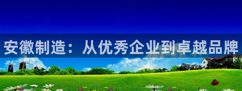 恒行登录老大6ll5l典型：安徽制造：从优秀企业到卓越品牌