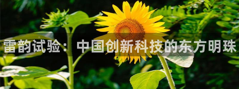 恒行注册全2O5O5O：雷韵试验：中国创新科技的东方明珠