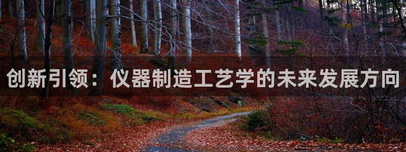 恒行娱乐蒋74OOO5：创新引领：仪器制造工艺学的未来发展方