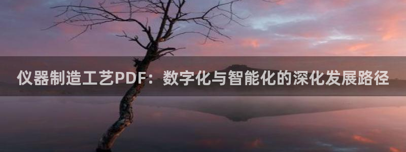恒行3乃5O6917：仪器制造工艺PDF：数字化与智能化的深