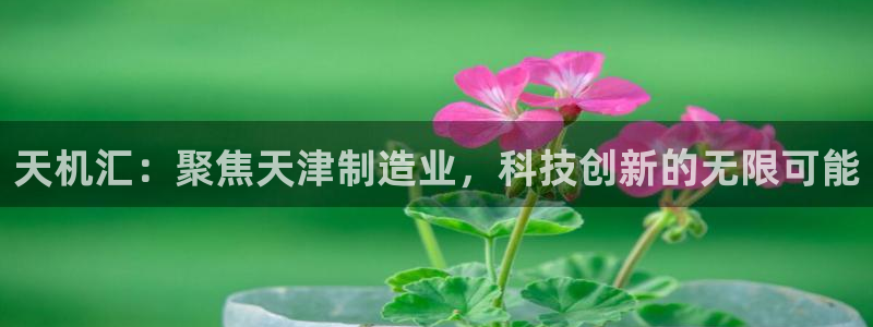 恒行娱乐卫74OOO5：天机汇：聚焦天津制造业，科技创新的无