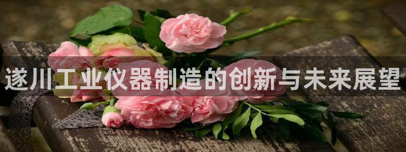 恒行5娱乐：遂川工业仪器制造的创新与未来展望