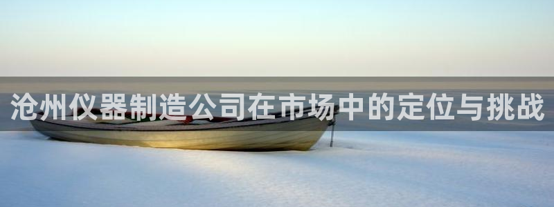 恒行2乃5O6917：沧州仪器制造公司在市场中的定位与挑战