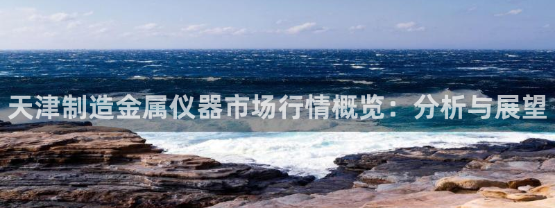 恒行登录就搜6ll5l：天津制造金属仪器市场行情概览：分析与