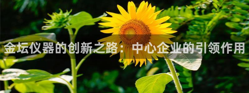 恒行注册全2O5O5O：金坛仪器的创新之路：中心企业的引领作
