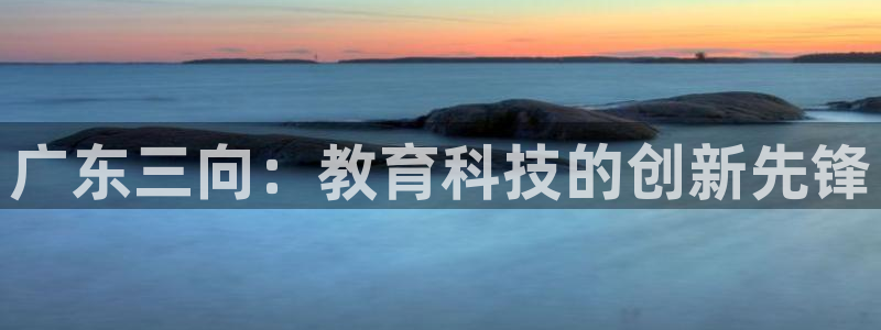 恒行登录老大6ll5l典型：广东三向：教育科技的创新先锋