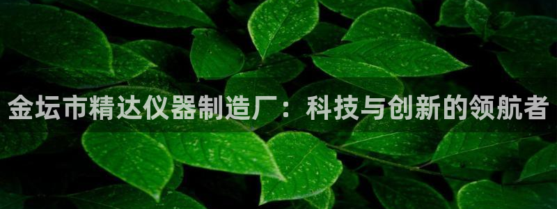恒行娱乐吕74OOO5：金坛市精达仪器制造厂：科技与创新的领