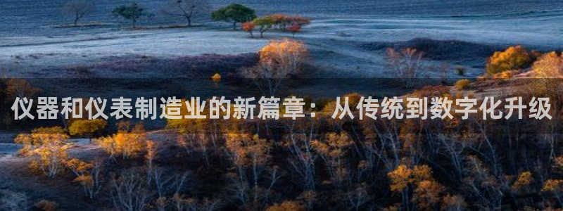 恒行娱乐5ll533主管正直：仪器和仪表制造业的新篇章：从传