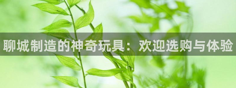 恒行娱乐招收点赞5ll533主管：聊城制造的神奇玩具：欢迎选