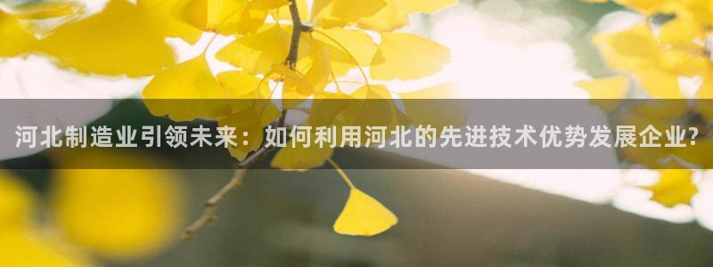 恒行娱乐周74OOO5：河北制造业引领未来：如何利用河北的先