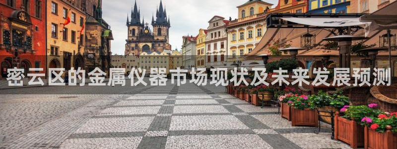 恒行2郑74OOO5：密云区的金属仪器市场现状及未来发展预测