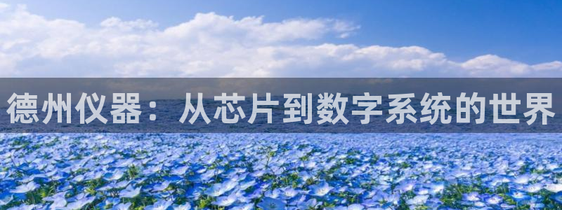 恒行娱乐招收点赞5ll533主管：德州仪器：从芯片到数字系统