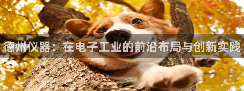 恒行登录老大6ll5l典型：德州仪器：在电子工业的前沿布局与