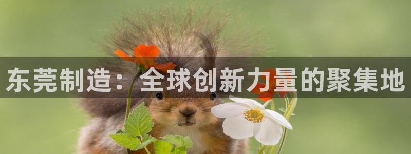 恒行主管首问6ll5l：东莞制造：全球创新力量的聚集地