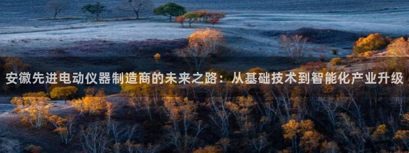 恒行招商老大诚挚 6ll5l：安徽先进电动仪器制造商的未来之