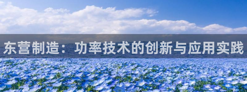 恒行5娱乐：东营制造：功率技术的创新与应用实践