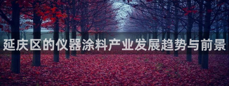 恒行登录老大6ll5l典型：延庆区的仪器涂料产业发展趋势与前