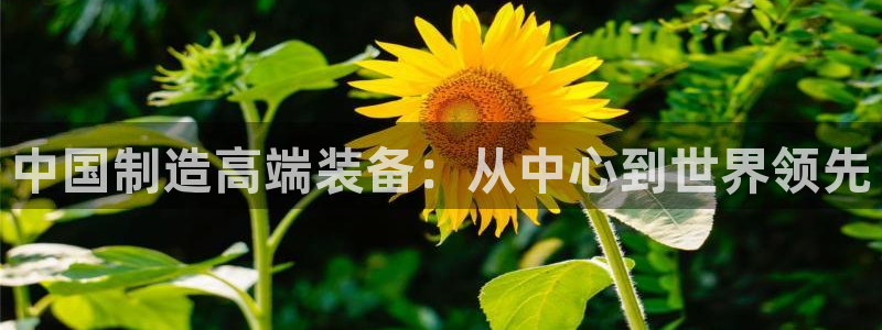 恒行娱乐见5ll533主管：中国制造高端装备：从中心到世界领