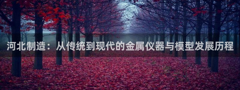 恒行娱乐卫74OOO5：河北制造：从传统到现代的金属仪器与模