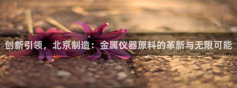 恒行娱乐登录信用 74ooo5：创新引领，北京制造：金属仪器