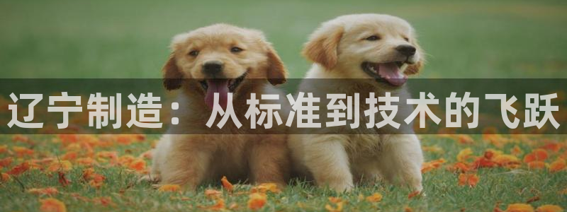 恒行娱乐见5ll533主管：辽宁制造：从标准到技术的飞跃