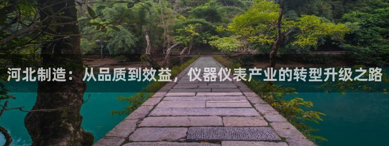 恒行主管首问6ll5l：河北制造：从品质到效益，仪器仪表产业