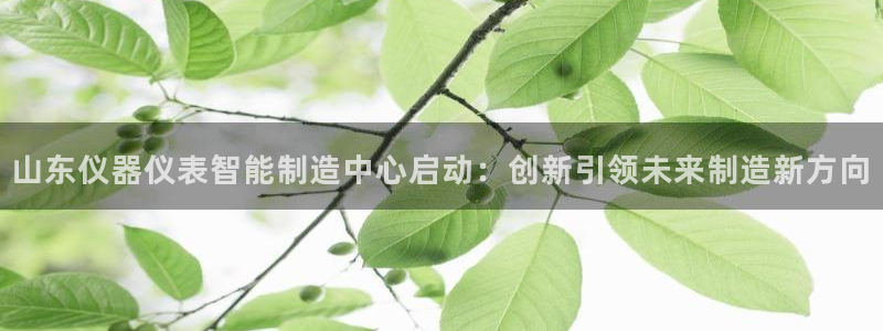 恒行开户娱乐6ll5l特惠：山东仪器仪表智能制造中心启动：创