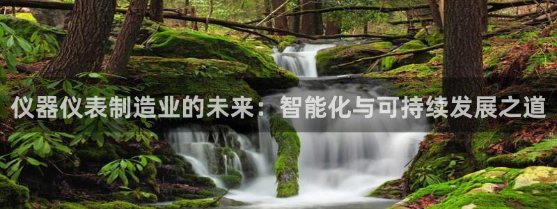 恒行2朱74OOO5：仪器仪表制造业的未来：智能化与可持续发