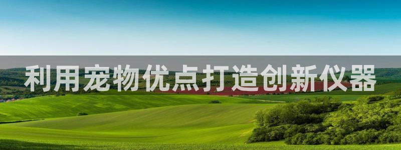 恒行开户娱乐赞议6ll5l：利用宠物优点打造创新仪器