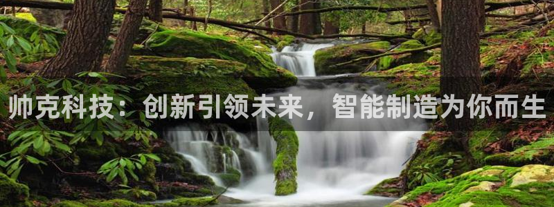 恒行2王74OOO5：帅克科技：创新引领未来，智能制造为你而