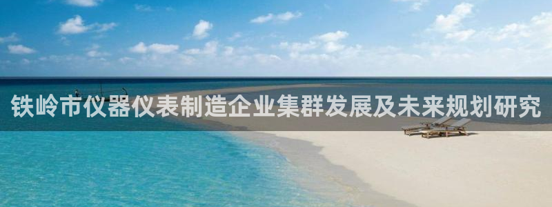 恒行2冯74OOO5：铁岭市仪器仪表制造企业集群发展及未来规