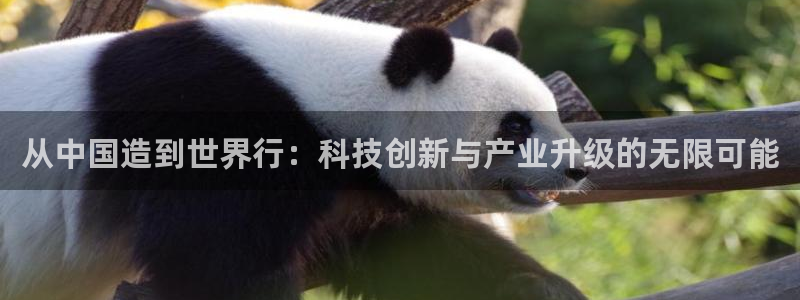 恒行2吕74OOO5：从中国造到世界行：科技创新与产业升级的