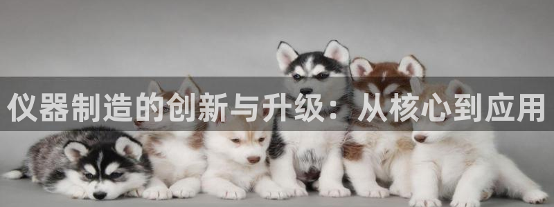 恒行2周74OOO5：仪器制造的创新与升级：从核心到应用