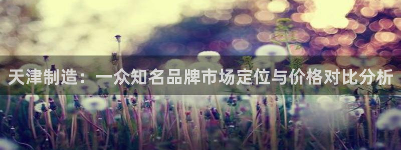 恒行2褚74OOO5：天津制造：一众知名品牌市场定位与价格对