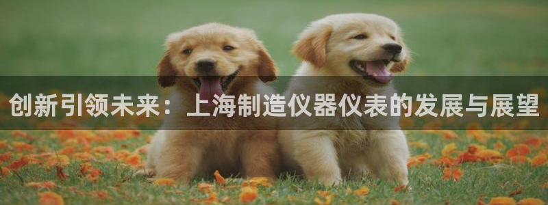 恒行娱乐5ll533主管正直：创新引领未来：上海制造仪器仪表